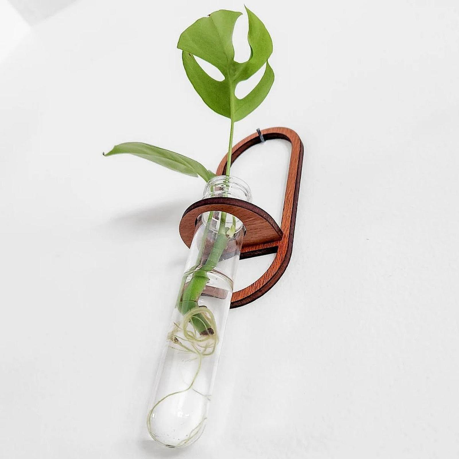 Vaso per piante idroponiche, m - Propagation Station Vase recensione e prezzo