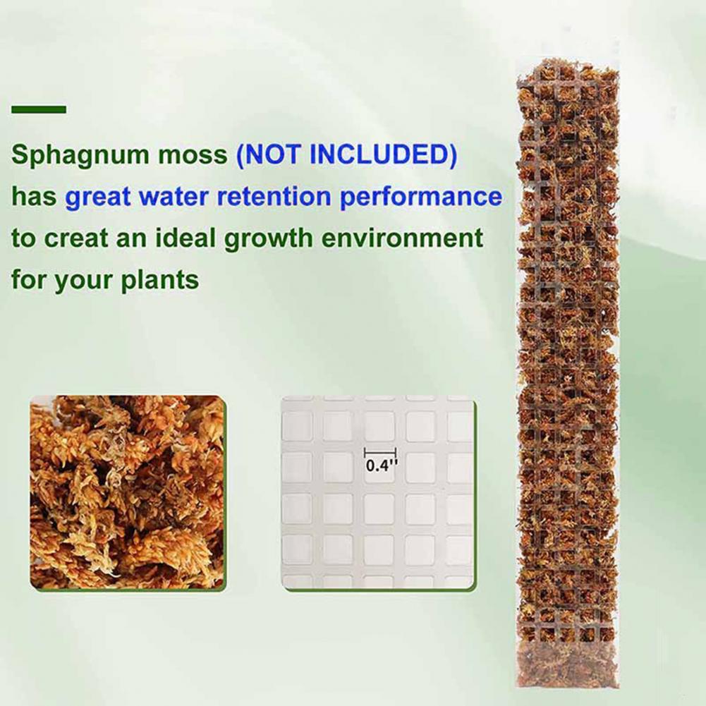 Supporto per Piante Rampicanti - Sphagnum Moss Dry recensione e prezzo