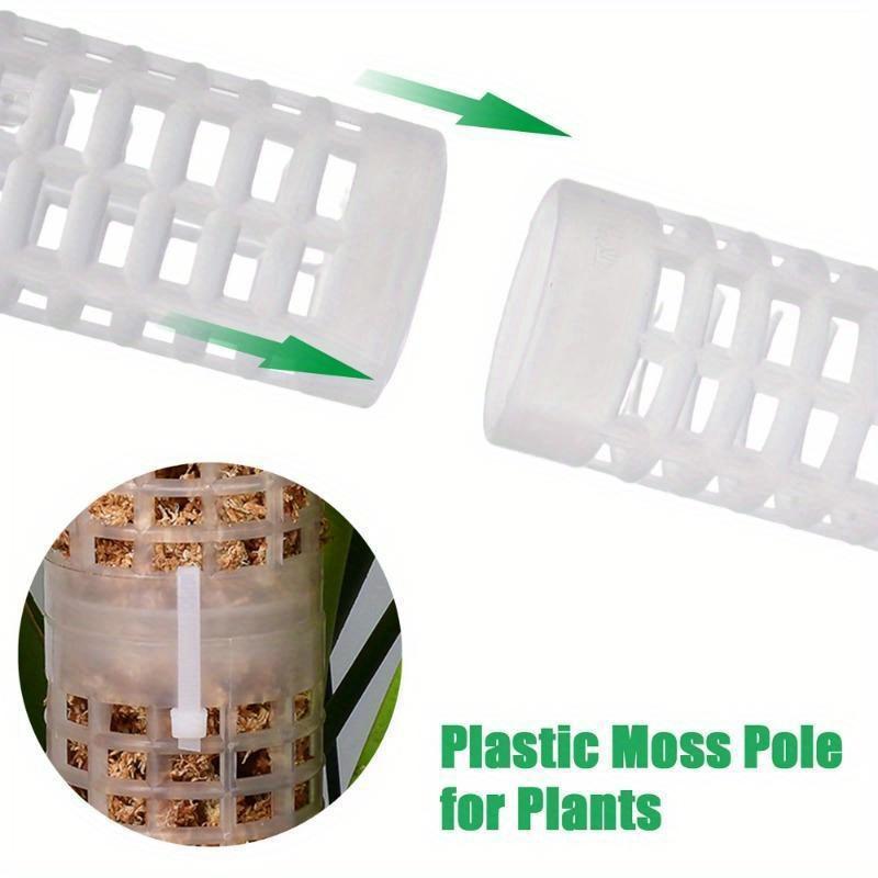 Colonna per Piante Rampicanti, - Sphagnum Moss Dry recensione e prezzo