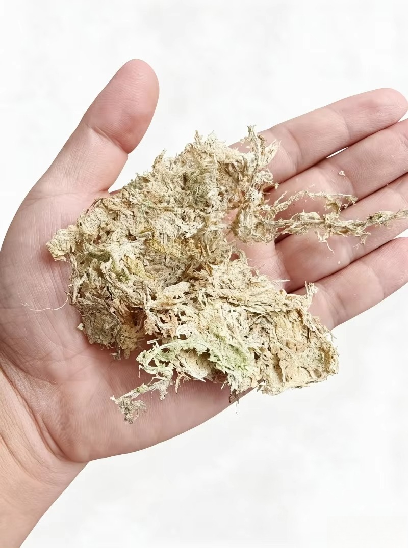 Muschio di Sfagno Premium per  - Sphagnum Moss Dry recensione e prezzo